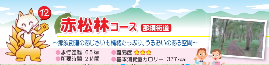 赤松林コース　那須街道のあじさいも情緒たっぷり。うるおいのある空間